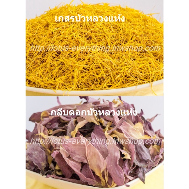 LotusHealth เกสรดอกบัวหลวงแห้ง จากบึงธรรมชาติ