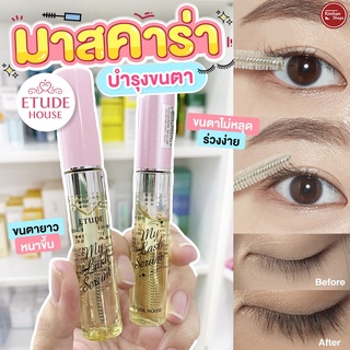 Etude House My Lash Serum มาสคาร่าบำรุงขนตา