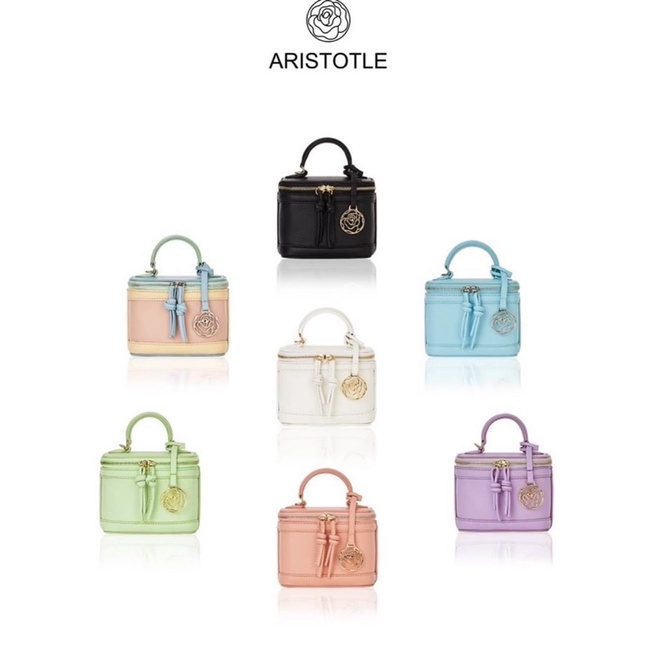 Aristotle bag - micro vanity