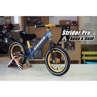 ขาตั้งรถจักรยานขาไถ Balance Bike Stand (ลายGIPSY) ขาตั้ง แท่นวางรถ