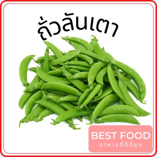 ถั่วลันเตา Pisum sativum