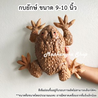 (9-10 นิ้ว) คางคก กบ เขียด อึ่งอ่าง กบยักษ์ ของเล่นปลอม สัตว์ปลอม ของเล่นแกล้งคน ของเล่นเด็ก