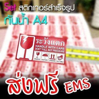 [1] สติ๊กเกอร์ระวังแตก A4 จำนวน 3 แผ่น