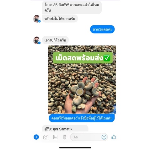 เมล็ดพันธุ์มะม่วงหิมพานต์ศรีสะเกษ60-1,60-2 (แพค 1 กิโล) จำนวน150-180 เมล็ด - รูปที่ 5