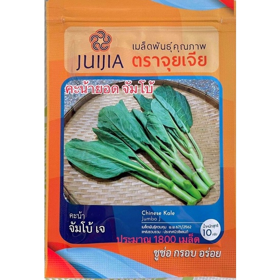 คะน้า จัมโบ้ จุยเจีย (ประมาณ 1800 เมล็ด)