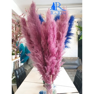 Rarin ดอกเลาย้อม สีเปลือกมังคุด (5 ก้าน) ขนาด 90 cm. เป็นดอกไม้ธรรมชาติ ดอกฟุ้งฟิ้ง ใช้ประดับห้อง งานแต่ง DIY