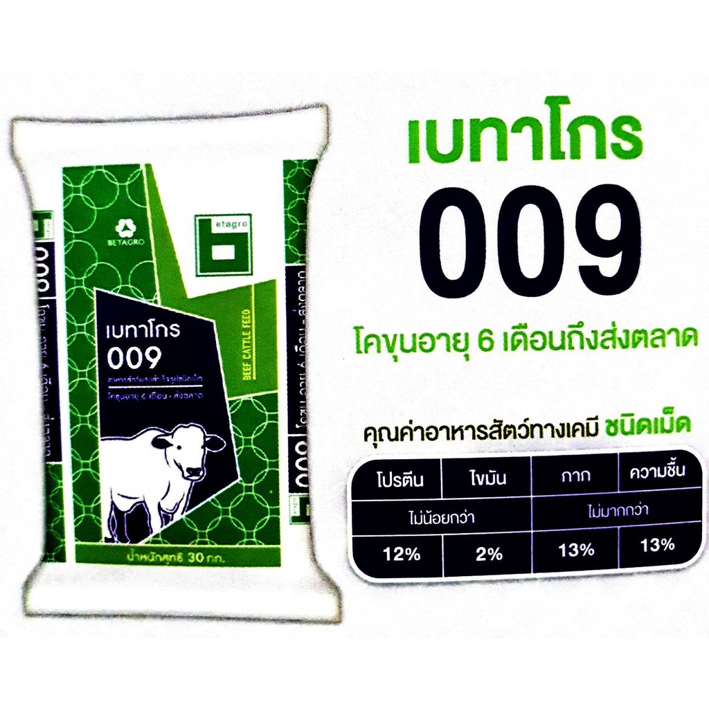 My Image 18