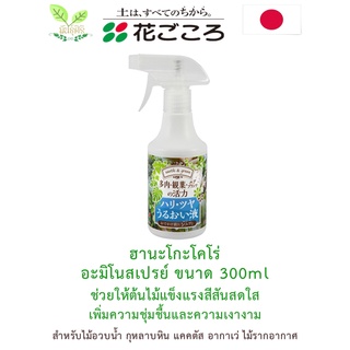 🌵อะมิโนสเปรย์สำหรับไม้อวบน้ำ กุหลาบหิน แคคตัส อากาเว่ ไม้รากอากาศ ขนาด 300ml🌵