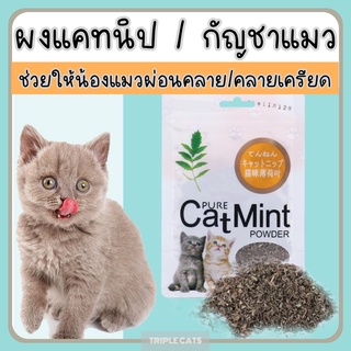 Catnip แคทนิป ผงแคทนิป กัญชาแมว สมุนไพรแมว แบบซอง แคทนิปแมว แคทนิปโรยอาหาร ของเล่นแมว แคทนิปแบบผงขนมแมว ของเล่นแมว แมว