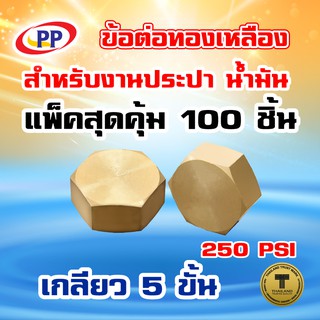 ข้อต่อทองเหลือง หมวกอุด  PP(พีพี) ตัวเมีย&lt;เกลียวใน&gt; ขนาด 3/4"(6หุน) แพ็ค 100 ชิ้น (ประปา/น้ำมัน)