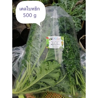 ผักเคล ใบเคลสดออร์แกนิค100%