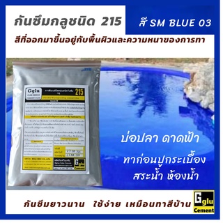 กลู (gglu) กาวซีเมนต์กันซึม ชนิดทา 215 สีฟ้า SM BLUE 03 ขนาด 1กกทาป้องกันและแก้ไขการรั่วซึม ดาดฟ้า ห้องน้ำสระน้ำ บ่อปลา