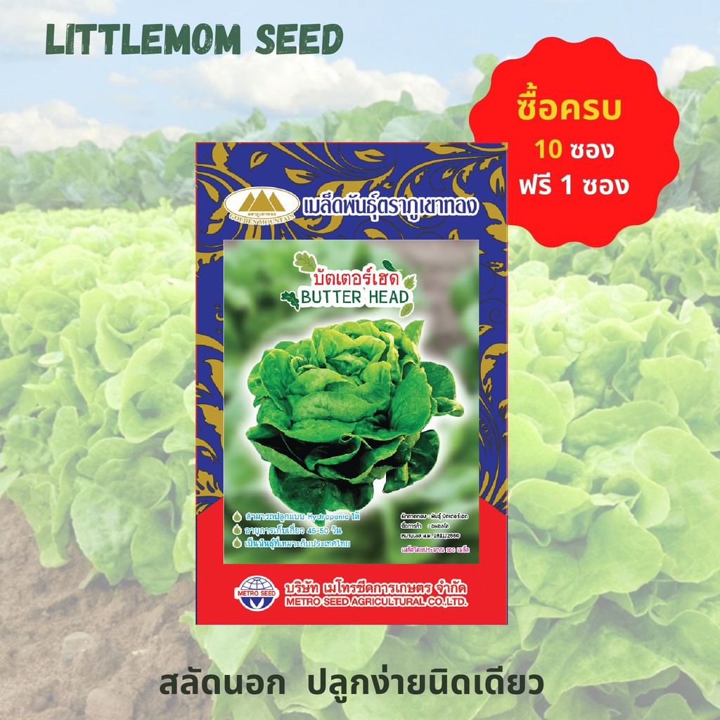 เมล็ดผักสลัดบัตเตอร์เฮด ภูเขาทอง 200 เมล็ด