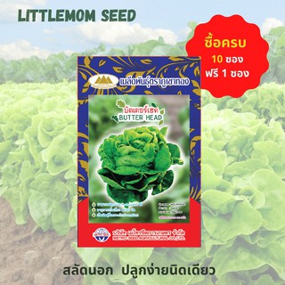 เมล็ดผักสลัดบัตเตอร์เฮด ภูเขาทอง 200 เมล็ด