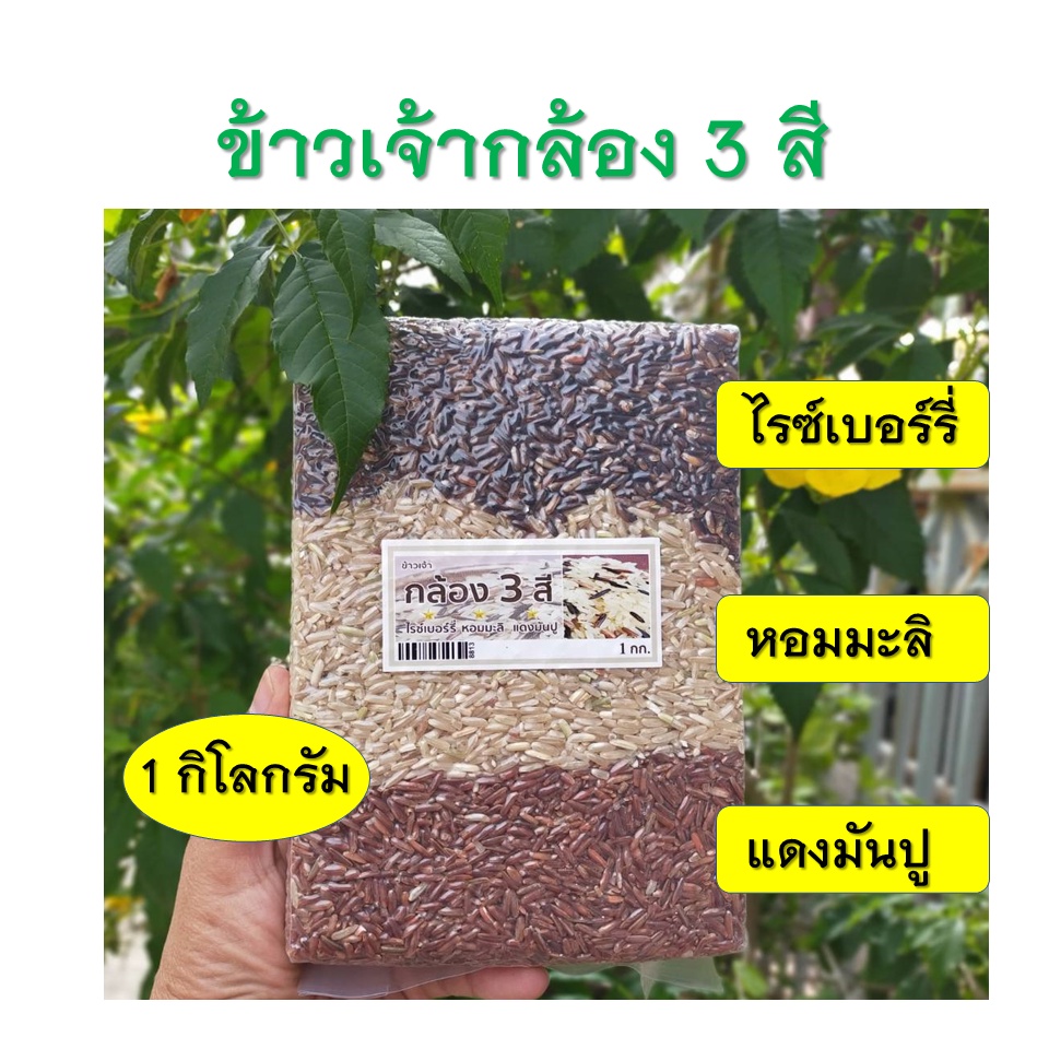 ข้าว 3 สี ข้าวเจ้ากล้อง 3 สี น้ำหนัก 1 กิโลกรัม