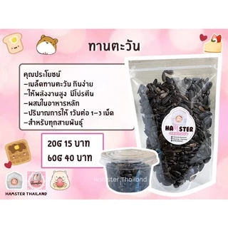 [Hamsterth] เมล็ด ทานตะวัน ขนมแฮมสเตอร์ สำหรับสัตว์เลี้ยง ขนมแฮมสเตอร์ อาหารผสม