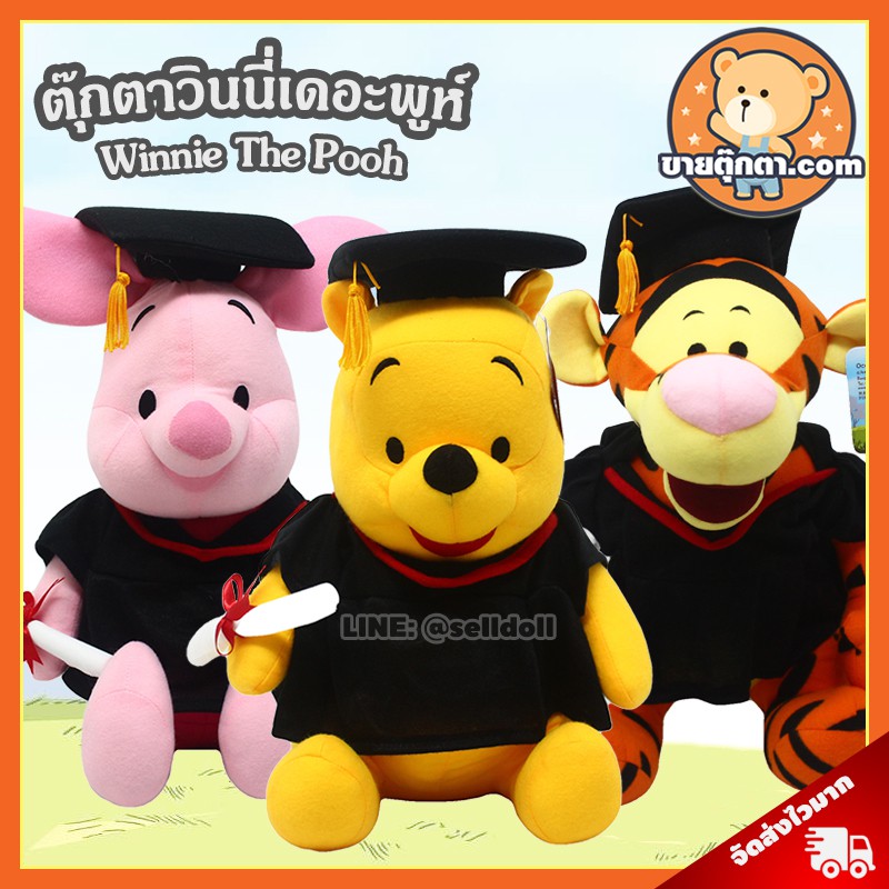 ตุ๊กตา หมีพูห์ รับปริญญา เสื้อดำ (ขนาด 12 นิ้ว) ลิขสิทธิ์แท้ / ตุ๊กตา วินนี่เดอะพูห์ Pooh Piglet Eey