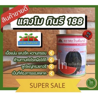 แตงโมง กินรี 188 เมล็ดพันธุ์ ลูกผสม แตงโม ตรา ตะวันต้นกล้า บรรจุ 40 กรัม