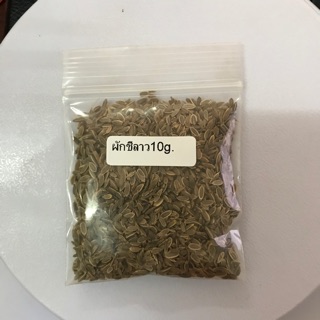 เมล็ดพันธุ์ ผักชีลาว บรรจุ 10 g