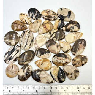 1Pc Natural Petrified Wood Cabochon Wonderful Top quality for making handmade Jewelry wire wrapping and for healing.