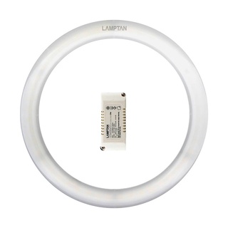 หลอดไฟ LED LAMPTAN CIRCULARSET MULTICOLOR 24 วัตต์