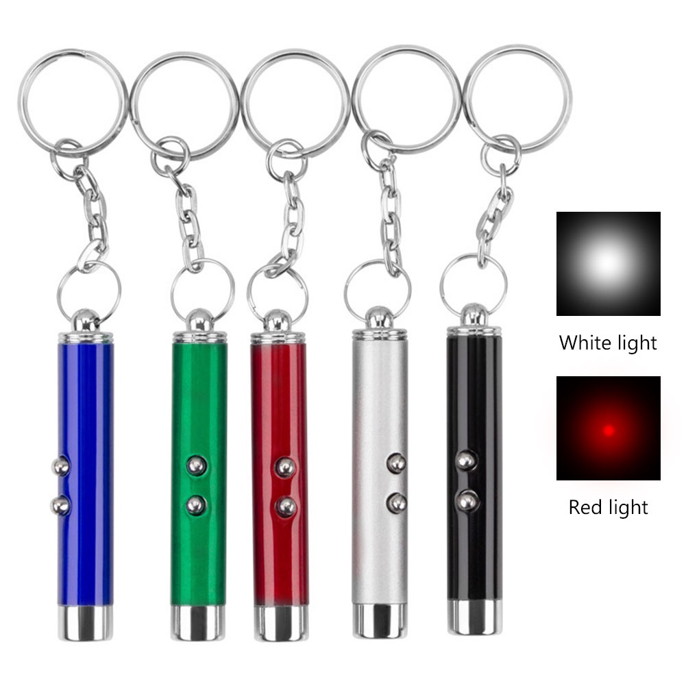2 In 1 Mini Keychain Laser Pointer Interactive Red Light LED Torch ...