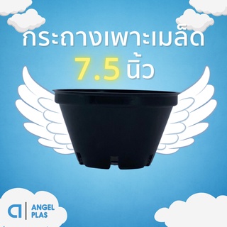 กระถางต้นไม้
กระถางต้นไม้สวยๆ
กระถาง
7.5 นิ้ว 8 นิ้ว กระถางเพาะเมล็ด ทรงเตี้ย สีดำ