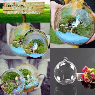 TF▶ 2017 Creative Hanging Glass Ball Vase Flower Plant Pot Terrarium Container Home Office Decor Hanging Glass Vase