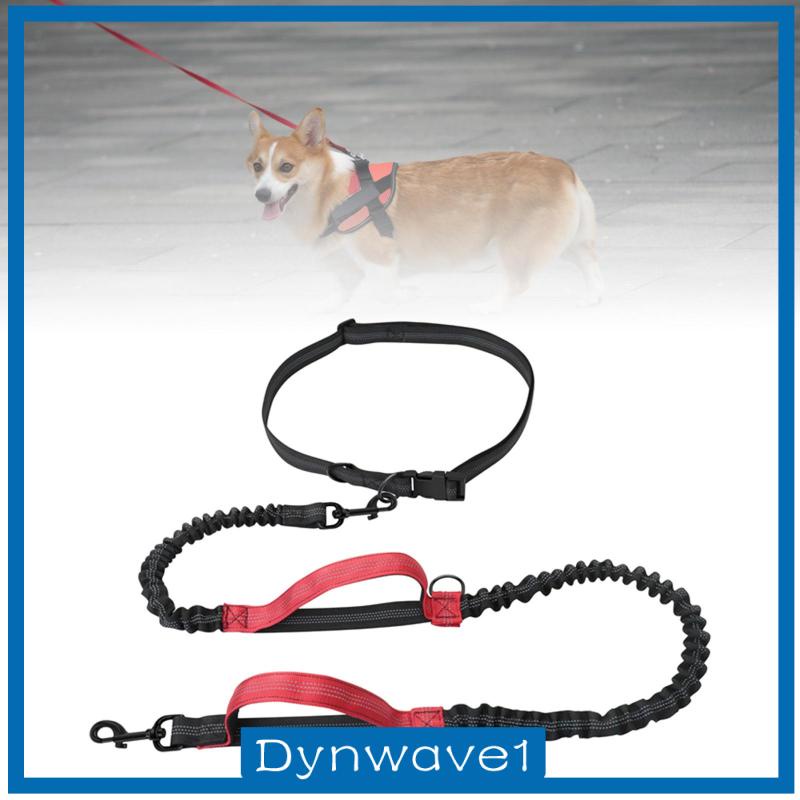 Adjustable Hands Free Dog Leash Running Reflective Walking Hiking ...