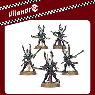 Warhammer 40,000 : Drukhari : Incubi