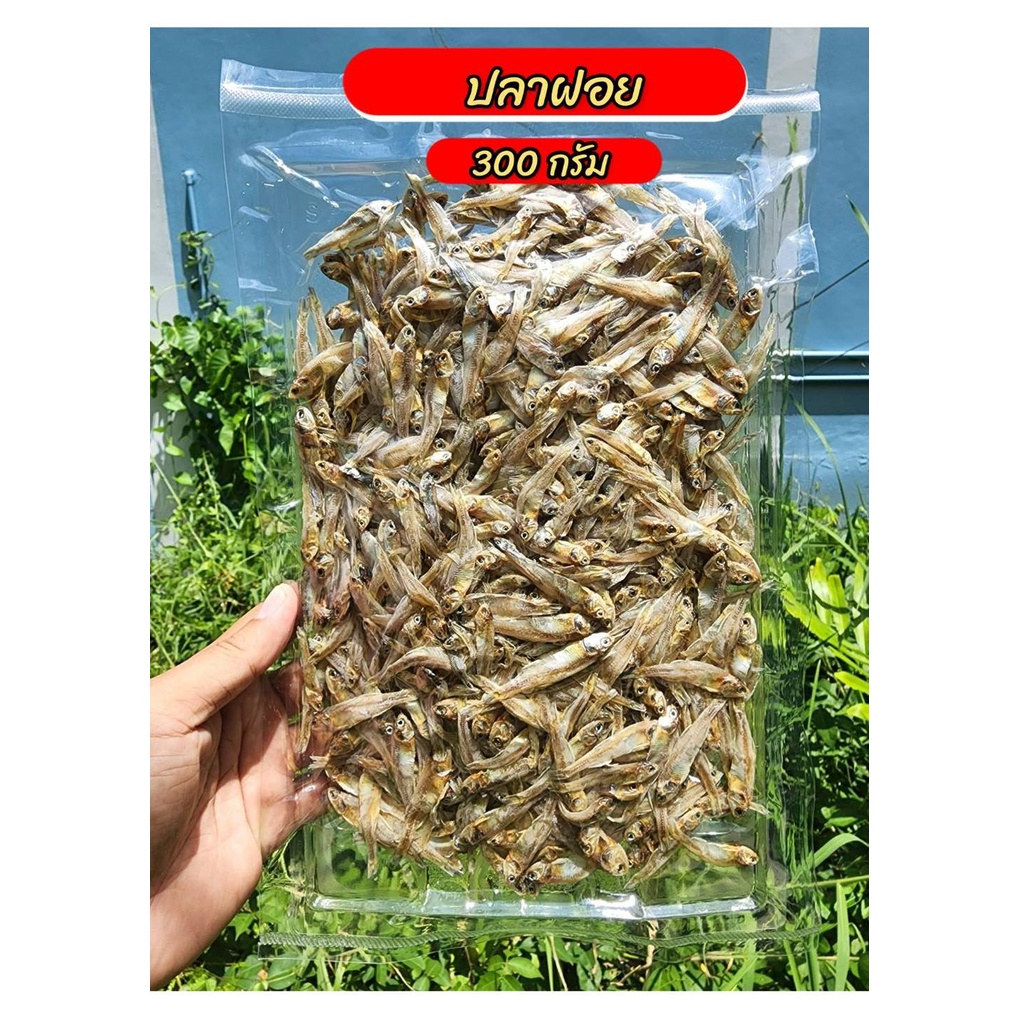 ปลาซิวแก้ว ปลาฝอยมีหัว แพ็คใหญ่ 300 กรัม  ปลากะตักแห้ง ปลาป่น ปลาแห้ง ปลาเค็ม ของแห้ง อาหารทะเล อาหารตากแห้ง ของฝาก