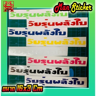 🌞☀️ Sticker วัยรุ่นพลังใบ 🧢 Sticker คำกวนๆ 📌 สติ๊กเกอร์ วัยรุ่นพลังใบ 📌ติดรถซิ่ง ติดรถแต่ง สวยๆ ราคาถูก ทนทาน คุ้มราคา