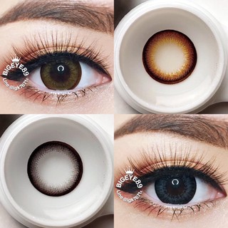 คอนแทคเลนส์ Wink Lens Dali(Gray,Brown) ค่าสายตา 0.00 ถึง -5.00