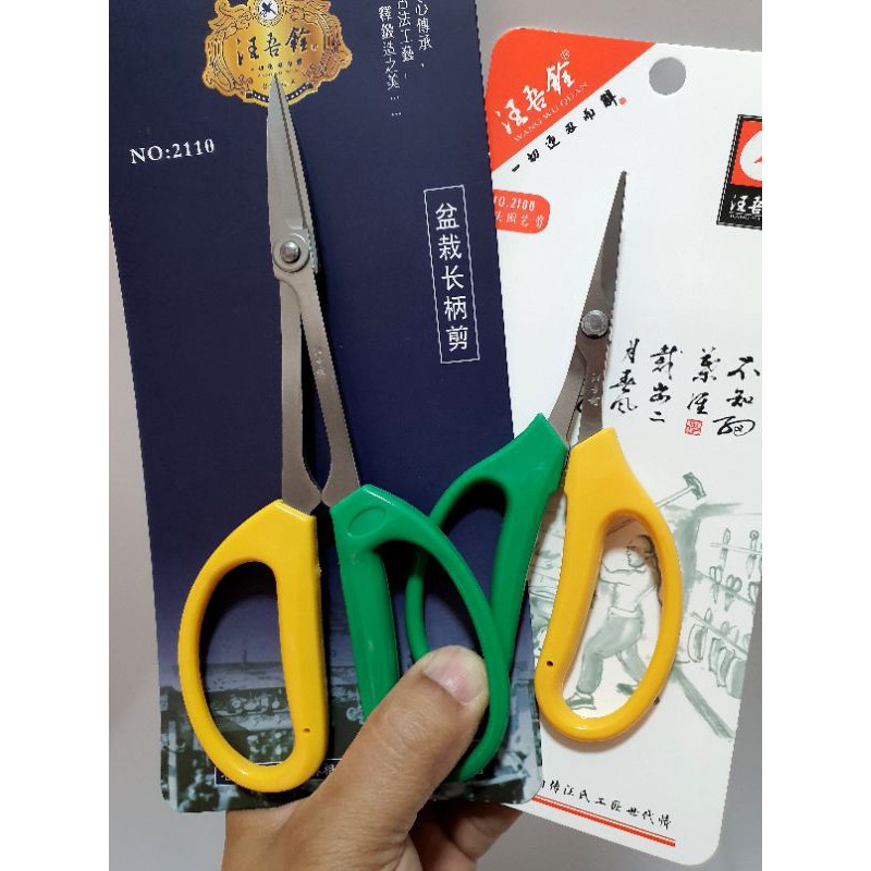 [พร้อมส่ง🇹🇭] กรรไกรเขียวเหลืองสแตนเลส กรรไกรบอนไซ กรรไกรตัดกิ่งไม้อุปกรณ์บอนไซ