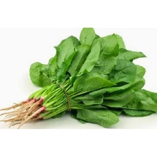 เมล็ดพันธุ์ ปวยเล้ง ปวยเล้งญี่ปุ่น 30 เมล็ด [10 เเถม 1 คละได้ ]