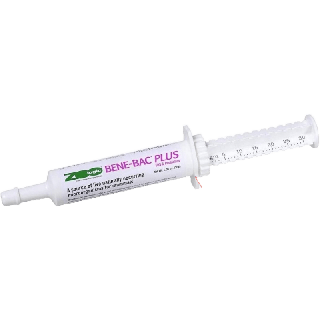 Bene-Bac Plus อาหารเสริม โปรไบโอติก เสริมภูมิคุ้มกัน ช่วยย่อย สำหรับสุนัข แมว กระต่าย (30 กรัม/หลอด)