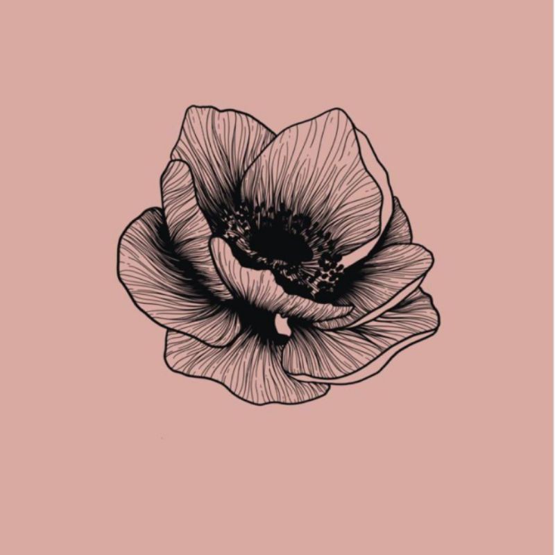 สั่งซื้อในชื่อ Ervin