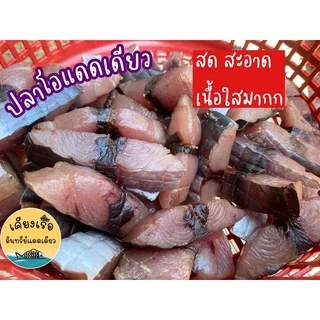 ปลาโอแดดเดียว/สินค้าใหม่/สด/สะอาด/ไร้กลิ่นเหม็น