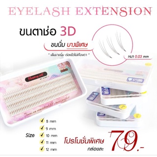 ขนตาช่อรุ่น 2D-3D-5D แบบกล่อง