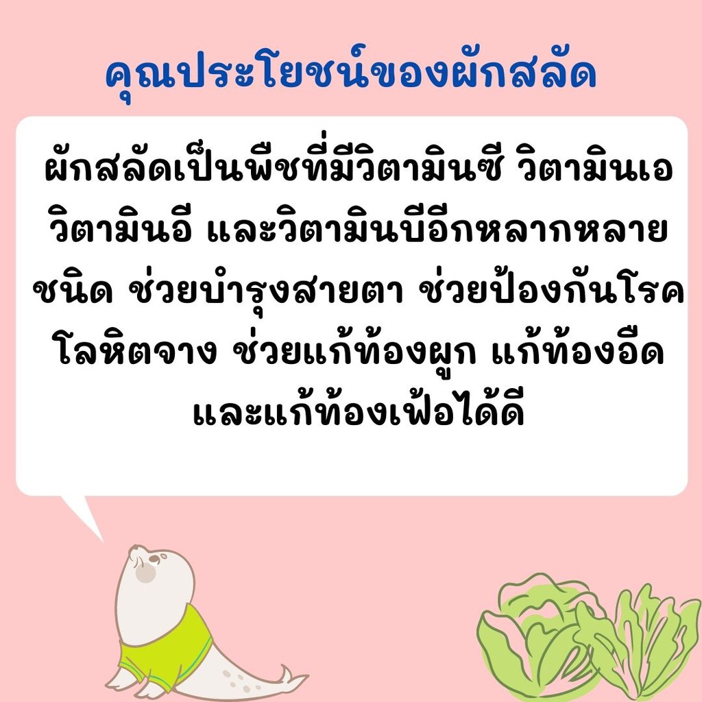 เมล็ดผักสลัด  ชุดผักสลัด 100 เมล็ด ปลูกง่ายไม่กลายพันธุ์  สลัดใบเขียว, บัตเตอร์คลั้น, สลัดกรีนโอ๊ค, ราคา ถูกที่สุด ดีลบีเคเค แกลเลอรีภาพที่ 4
