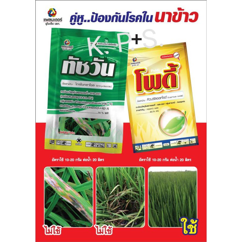 คู่ปราบเชื้อรา แบคทีเรีย ในนาข้าว ขนาด 100 กรัม