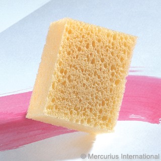 ฟองน้ำ สำหรับงานศิลปะสีน้ำ Viscose Sponge for Painting