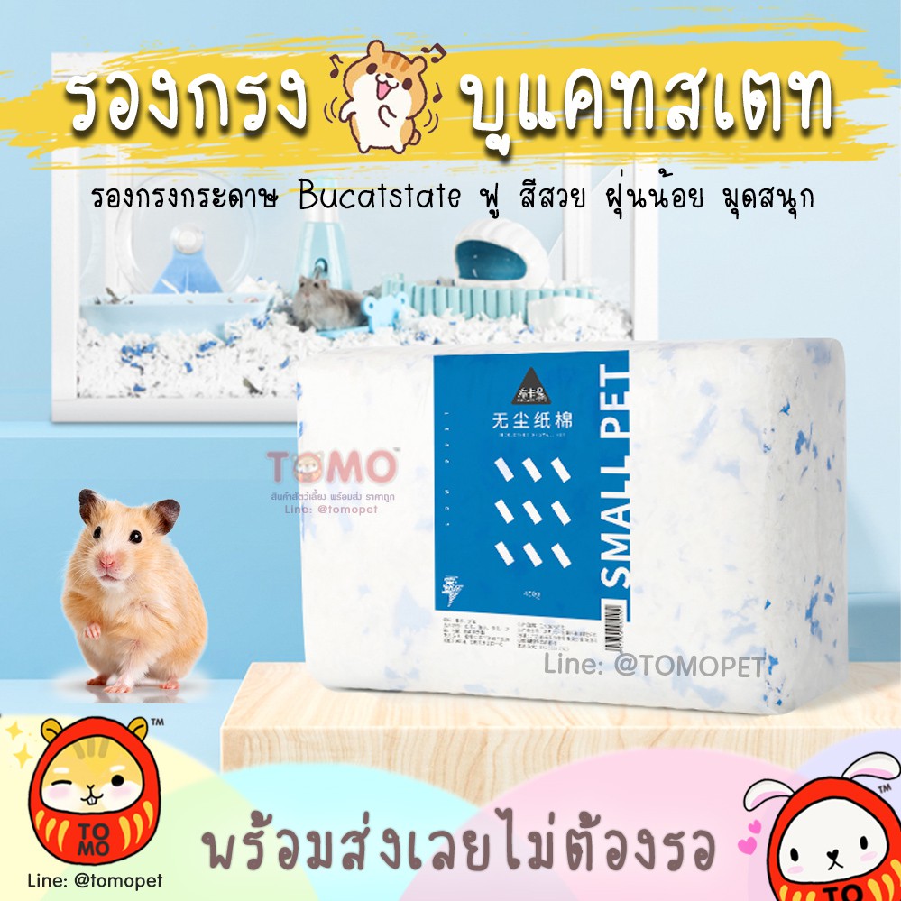 ร้านโทโมะ รองกรงบูแคทสเตท Bucatstate รองกรงกระดาษ ฟู ฝุ่นน้อย สีสวย