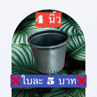 กระถางดำ 4 นิ้ว พลาสติกสีดำ