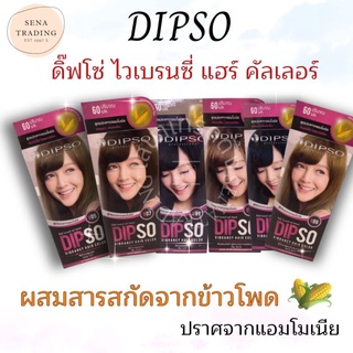 Dipso ดิ๊ฟโซ่ ไวเบรนซี่ แฮร์ คัลเลอร์ V01 - V15 ปราศจากแอมโมเนีย