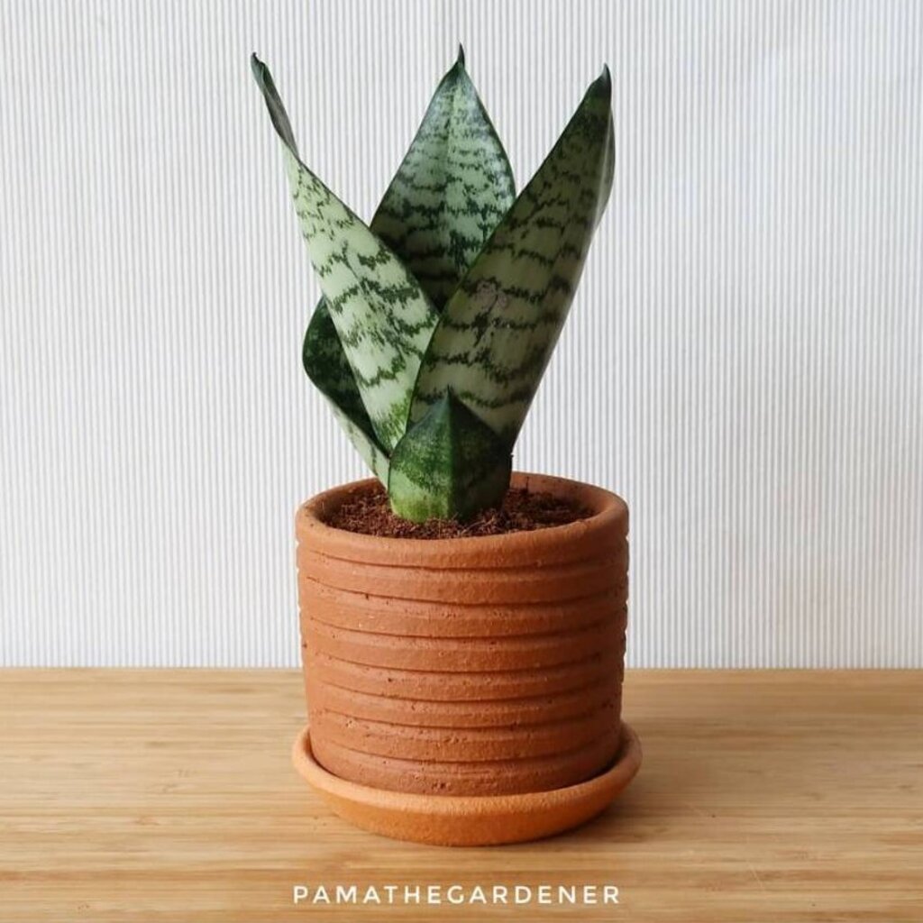 มุมมอง 2