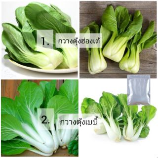 เมล็ดกวางตุ้งฮ่องเต้ และ กวางตุ้งเบบี้ กดเลือกได้เลย