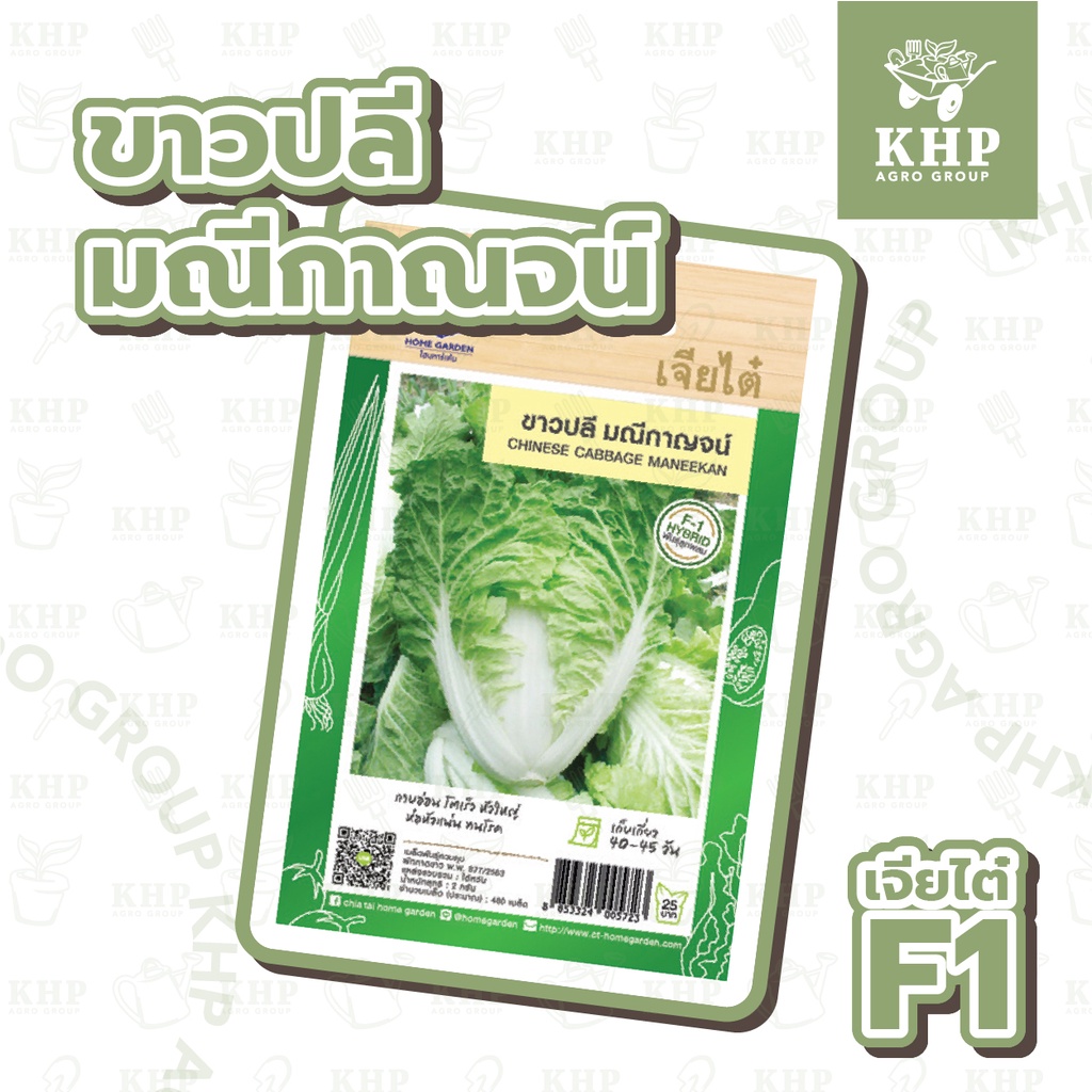 เมล็ดพันธุ์ ขาวปลี พันธุ์ มณีกาณจน์ ตรา เจียไต๋ (เครื่องบิน) ผักกาดขาว ขาวปลี F1 คัดพิเศษ โตเร็ว ห่อหัวแน่น น้ำหนักดี