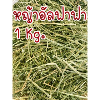 หญ้า Alfafa หญ้าอัลฟาฟา สำหรับสัตว์เลี้ยง กระต่าย กระรอก แก๊…