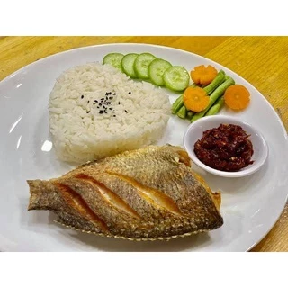 ปลานิลแดดเดียว​ ไซส์​ 7-8ตัว/โล